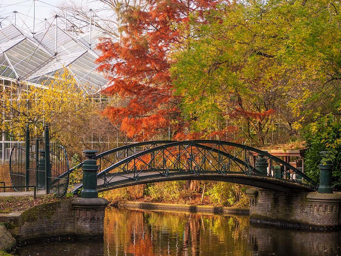 Brug, herfstbomen en kas in de Hortus Botanicus Amsterdam